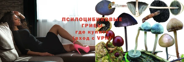 стафф Нея