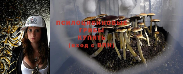 стафф Нея