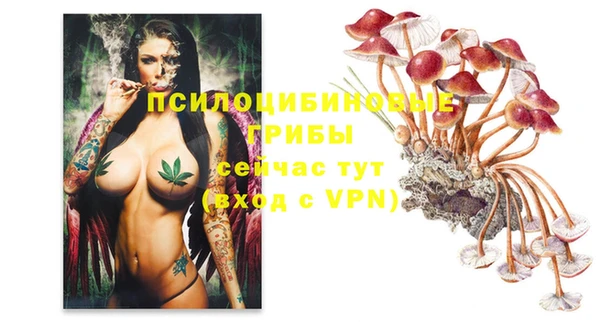 первитин Нефтегорск