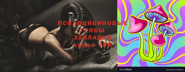 стафф Нея