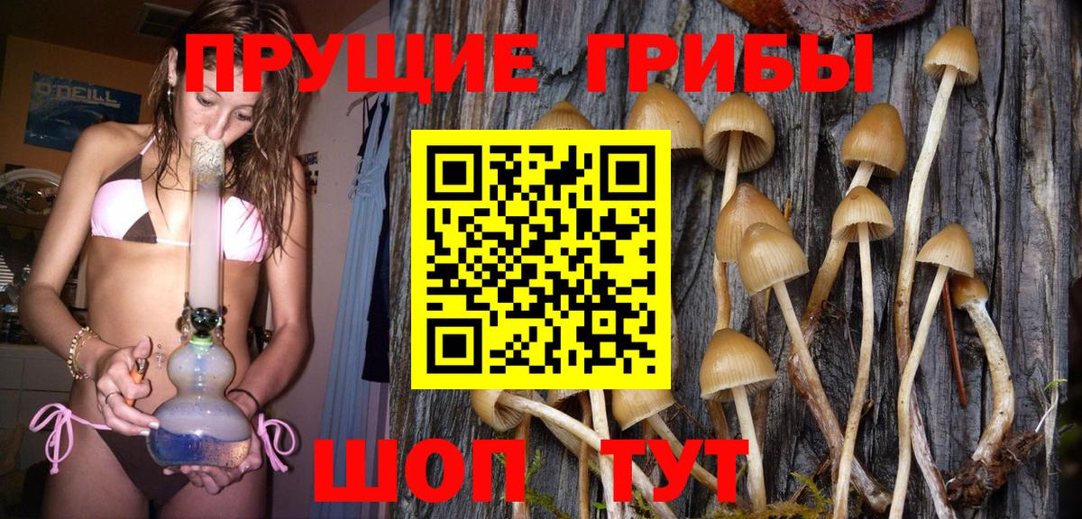 Галлюциногенные грибы MAGIC MUSHROOMS Отрадный