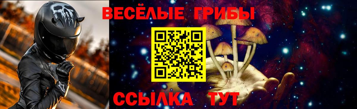 наркота  Псилоцибиновые грибы Cubensis  Вход с VPN  Галлюциногенные грибы Psilocybine cubensis  Отрадный 