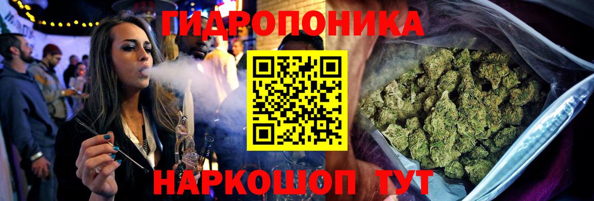 Шишки марихуана тримм  Канабис конопля  Вход с VPN  Бошки марихуана конопля  Отрадный 